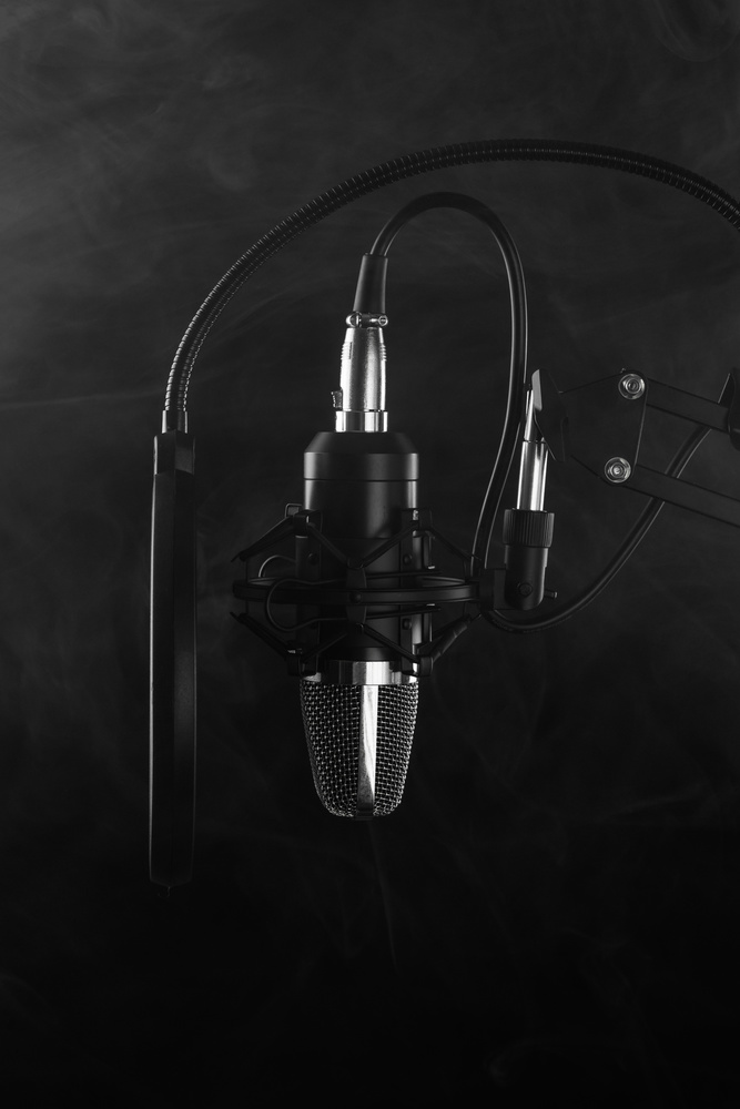 Action Camera Microphone